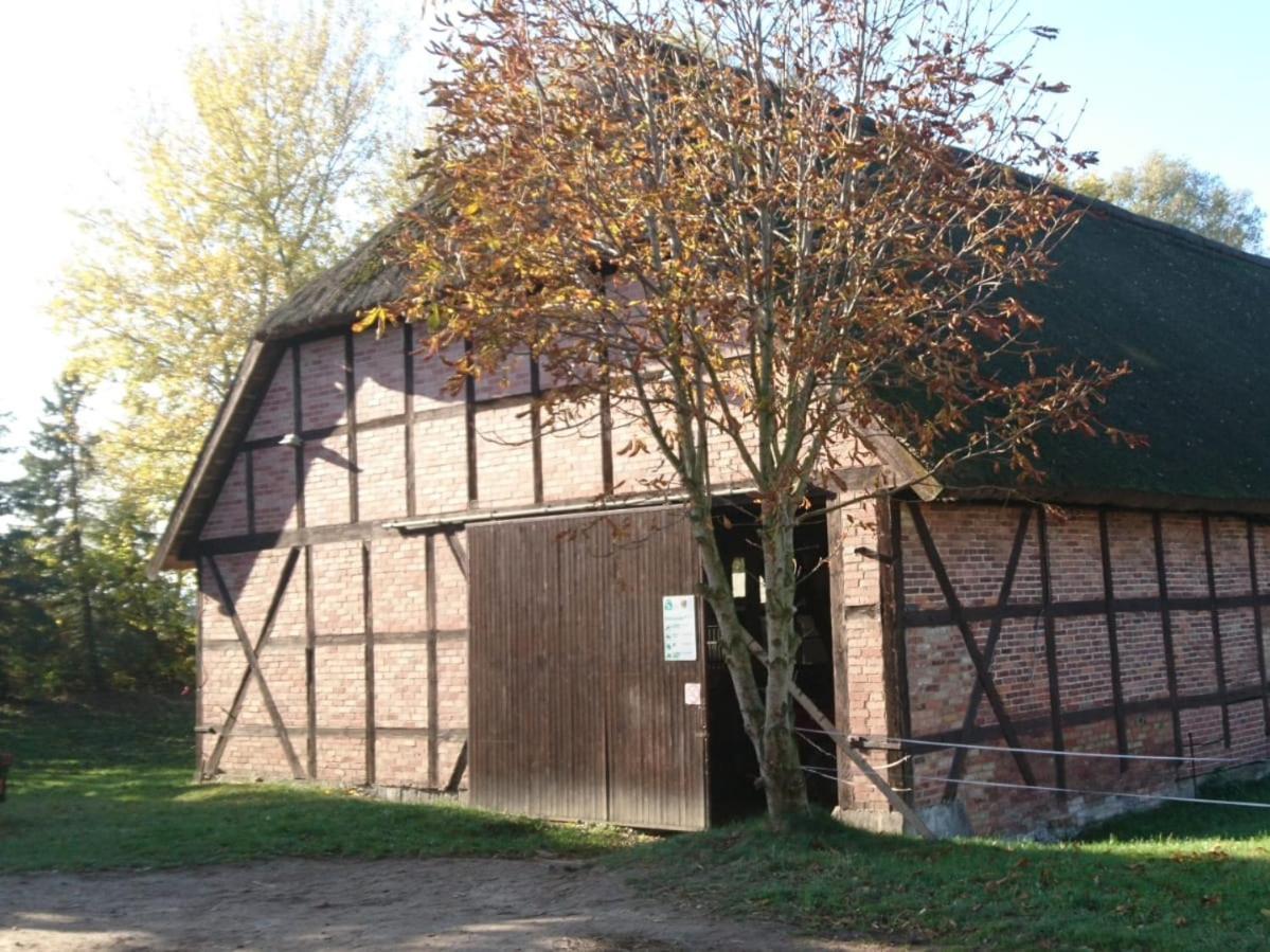 Reiterhof Gross Stubben Poseritz Exterior foto